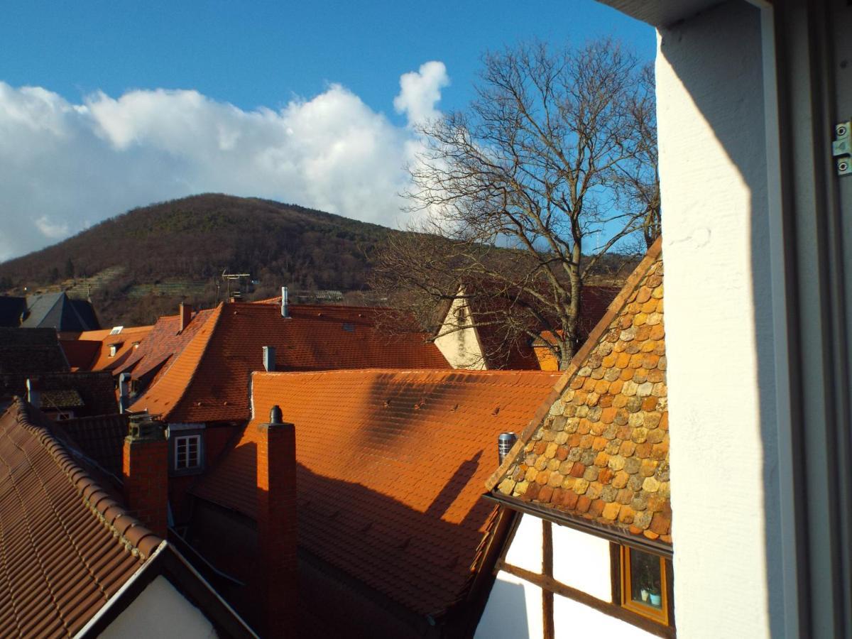 Ferienwohnung Mittendrin Neustadt an der Weinstraße Exterior foto